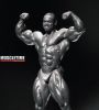 flex_wheeler_007.jpg