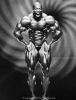 flex_wheeler_064.jpg