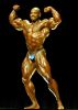 flex_wheeler_093.jpg