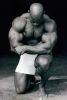 flex_wheeler_096.jpg