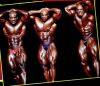 flex_wheeler_147.jpg