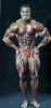 flex_wheeler_168.jpg