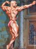 flex_wheeler_256.jpg