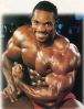 flex_wheeler_358.jpg