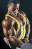 kevin_levrone_003.jpg