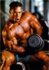 kevin_levrone_007.jpg