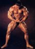 kevin_levrone_026.jpg