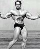 arnold_schwarzenegger_012.jpg