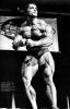 arnold_schwarzenegger_044.jpg