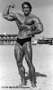 arnold_schwarzenegger_049.jpg