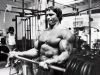 arnold_schwarzenegger_070.jpg