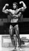 arnold_schwarzenegger_083.jpg