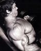 arnold_schwarzenegger_088.jpg