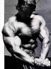 arnold_schwarzenegger_107.jpg