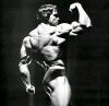 arnold_schwarzenegger_132.jpg