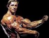 arnold_schwarzenegger_154.jpg