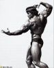 arnold_schwarzenegger_161.jpg