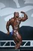 dexter_jackson_MrO2007_070.JPG