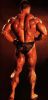 dorian_yates_057.jpg