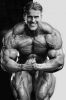 jay_cutler_003.jpg