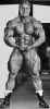 jay_cutler_025.jpg