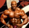 ronnie_coleman_009.jpg