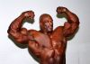 ronnie_coleman_043.jpg