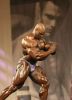 ronnie_coleman_075.jpg