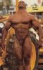 ronnie_coleman_196.jpg