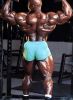 ronnie_coleman_199.jpg