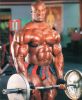 ronnie_coleman_204.jpg